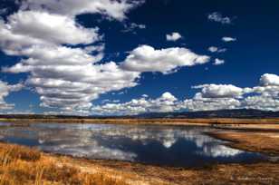 Modoc Wildlife Refuge-3765